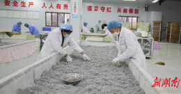 永顺县颗砂乡：复工复产奏响新春奋进乐章