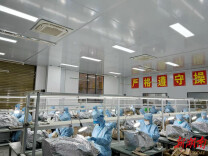 永顺县西歧乡：瑞蛇启新程，产业复工展宏图