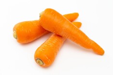 家乡胡萝卜的思念长歌