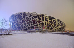 一眼萌化！AI解锁北京的春天