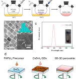南华大学王行柱与刘畅团队在Advanced Energy Materials发表最新研究成果