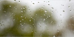 春季湿气缠身，不如喝喝这些茶！