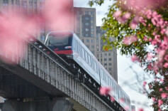 浏阳至机场只需半小时？会展片区拟增三个磁浮快线站点