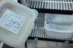 养老机构食堂怎么样？邵阳市场监管部门突击检查发现……