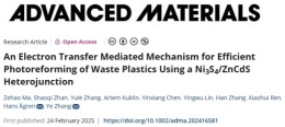 南华大学张也团队在Advanced Materials发表最新研究成果
