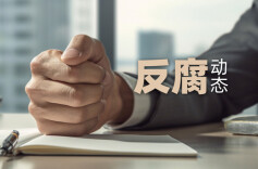 湖南省长沙市人民政府原副市长、市公安局原局长唐向阳接受纪律审查和监察调查