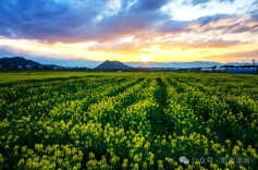 春至湖南，美丽乡村“颜值”稳步上线