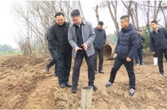 綦小广调研春耕备耕工作