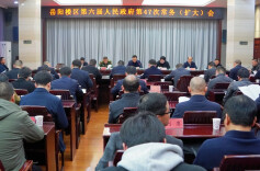 岳阳楼区政府第47次常务（扩大）会议召开
