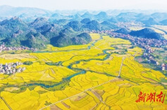 中部崛起势正劲 大国挺起“硬脊梁”丨向总书记报告·中部新答卷