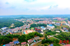 让农民在乡村建设中发挥主体作用