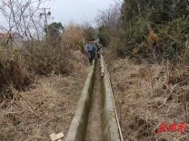 洞庭湖畔春耕图：洪水港社区周末抢修水利保春耕