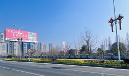 节庆花卉“二次绽放”绘就城市新景观