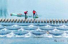 雷锋家乡学雷锋：举手之劳 点亮世界