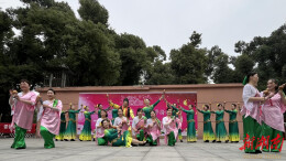 党建领航绽芳华，岳阳楼区这个社区这样共筑美好家园