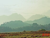 蓼水琴事——父亲的生存美学