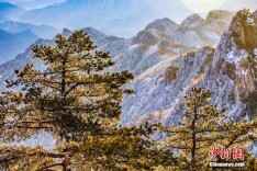 河南尧山现日出云海雾凇三大景观 宛如童话世界