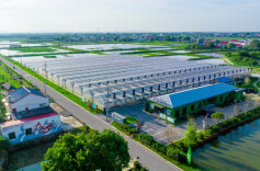 望城“蓝之翼”振翅托举小龙虾产业生态链