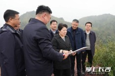 吴桂英调研长株潭一体化工作
