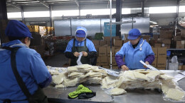 会同：立足竹资源 做活竹产业