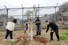 为动物充“植”，长沙生态动物园开展义务植物活动