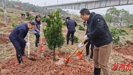 “同”植新绿 他们在市级义务植树基地开展绿色接力