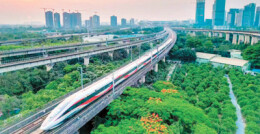 乘高铁到岭南赏花