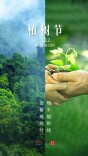 海报｜植树节