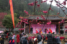 城步桃林村第三届桃花赏花月启幕，激活乡村旅游新动能
