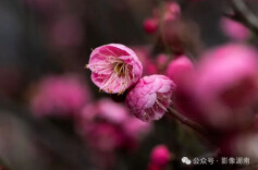 提前解锁！春之六节气里的湖湘“清新风”