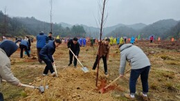 图集 | 怀化市纪检监察干部植树添绿共建美好家园​