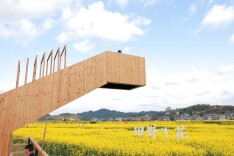 堡子镇稻田公园 ‌万亩金波迎客至！