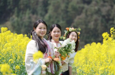 福地怀化•浪漫季｜千亩油菜花盛开 为乡村振兴“景”上添彩