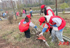 弘扬雷锋精神 共植绿色希望——麻阳苗族自治县第一锦江小学开展学雷锋暨植树节主题活动            