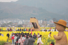 福地怀化·浪漫季 | 人从众汇“黄金海”，稻田邂逅“会同春”