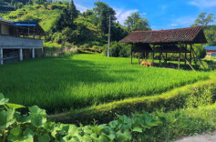 理论·新域丨艺术赋能乡村振兴的四个维度