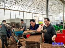 春耕备耕 | 蓼江镇：大棚育秧 助力春耕生产“加速度”