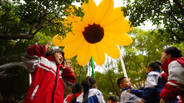 读报|3月19日《科教新报》速览