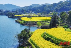 福地怀化•浪漫季丨大美怀化：春日里的诗意“鸬鹚”