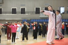 传承中华优秀传统体育文化 我省青年太极拳名家张洁纯荣获全球首届“太极拳网络之星”