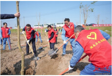 “企地携手植绿 共建美丽云溪”——云溪区举行2025年全民义务植树活动