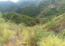 溆浦县：靶向监督 护航一江碧水