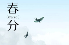 海报｜春分