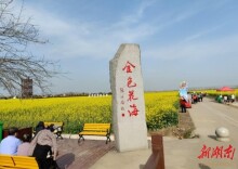 人大代表化身“护花使者” 全力保障节会盛事