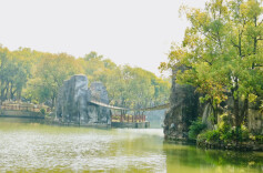 组图 | 湘潭雨湖公园：花红柳绿，春色满园