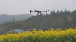 会同县开展油菜菌核病统防统治飞防作业