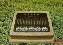 长师荷花别样红