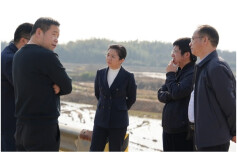 蒋春艳开展第一季度巡林巡田巡湖工作并督导检查防汛备汛工作