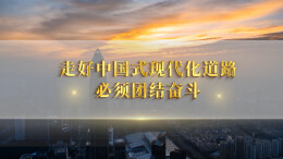 大道之行④走好中国式现代化道路必须团结奋斗