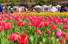 未预约，勿前往!湖南省植物园、湖南博物院今日已约满